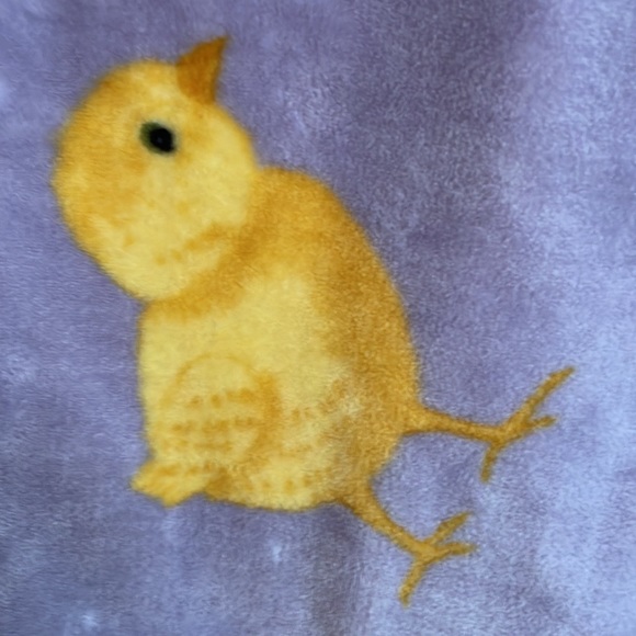 🐥🐣🌷🌷Super soft Rae Dunn Spring themed throw blanket - Picture 5 of 8